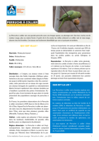 Première page de la fiche médiation portant sur les perruches à collier